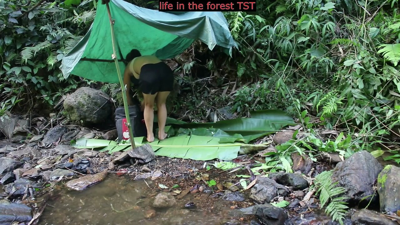 SOLO CAMP  FOREST SURVIVAL - #SoloCamping #AdventureGirl #NatureLover #OutdoorAdventure #WildLife #Mountains #Rivers #Forests #TravelVlog #EcoFriendly