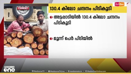 അട്ടപ്പാടിയിൽ 130.4 കിലോ ചന്ദനവുമായി മൂന്ന് പേർ പിടിയിൽ