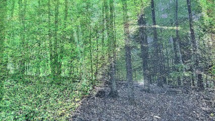 Windows XP's First Days S1E2 - A Spiralling Vortex