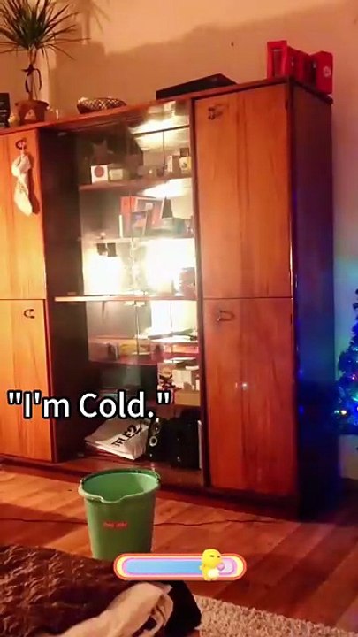 #cat #cats #catlover #funny #foryou #funnyvideos #viral #usa #fypシ #funnymoments  #cute #fyp