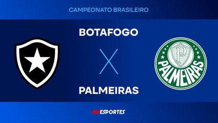 Botafogo 0 x 1 Palmeiras - 17/08/2025 - Brasileirão