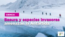 Basura y especies invasoras amenazan la Antártida
