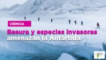Basura y especies invasoras amenazan la Antártida
