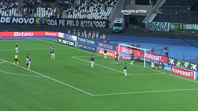 Melhores Momentos - Botafogo 0 x 1 Palmeiras - Brasileirão 2025 - 20º Rodada