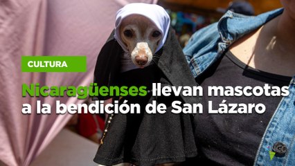 Nicaragüenses llevan mascotas a la bendición de San Lázaro