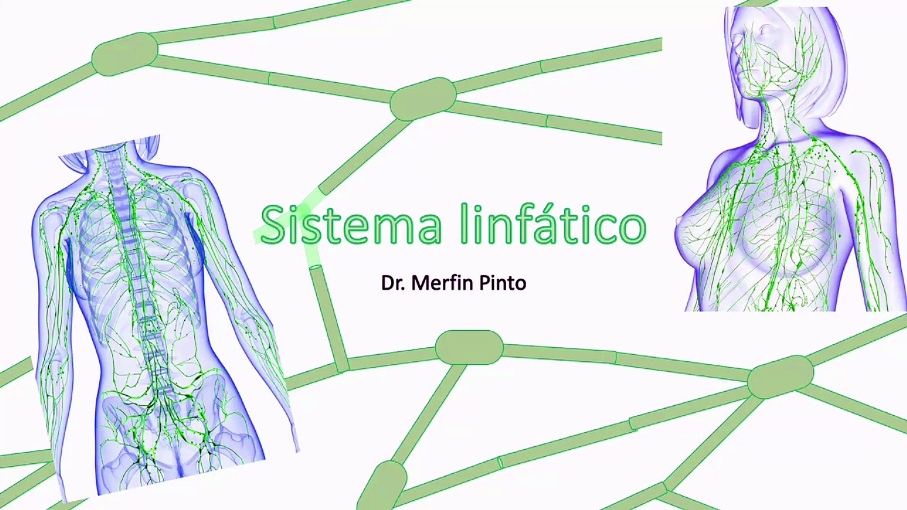 Sistema linfático - Todo relacionado al mismo #elcuerpoymas #medicina #salud #sistema linfático