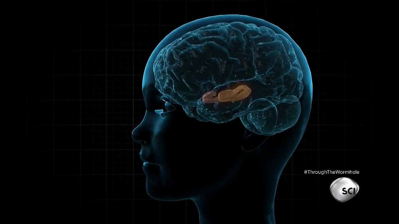 Through The Wormhole Season 5 Episode 3 Is Poverty Genetic? | Morgan Freeman