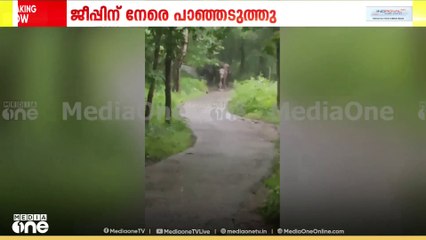 ജീപ്പിന് നേരെ പാഞ്ഞടുത്ത് കാട്ടാനക്കൂട്ടം; യാത്രക്കാർ തലനാരിഴക്ക് രക്ഷപെട്ടു