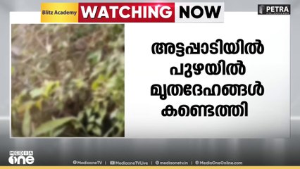 പുഴയിൽ രണ്ടു മൃതദേഹങ്ങൾ മൃതദേഹങ്ങൾ കണ്ടെത്തി. സംഭവം അട്ടപ്പാടി ചീരക്കടവ് ഊരിനോട് ചേർന്ന്