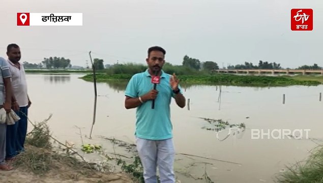 ਪੰਜਾਬ 'ਚ 3 ਦਿਨ ਮੀਂਹ ਦਾ ਅਲਰਟ, ਬਣੇ ਹੜ੍ਹ ਵਰਗੇ ਹਾਲਾਤ, ਜਾਣੋ 21 ਅਗਸਤ ਤੱਕ ਮੌਸਮ ਅੱਪਡੇਟ