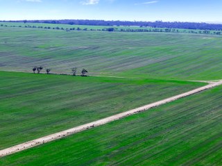 Emu Rocks, Country Life are selling at the top of EP..