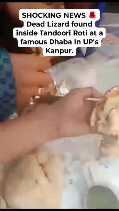 SHOCKING NEWS 🚨 Dead Lizard found inside Tandoori Roti at a famous Dhaba In UP's Kanpur.  Customer falls ill. Lizard was also baked along with Tandoori Roti.  DHABA OWNER : We will replace the roti.  CUSTOMER : What? I have vomited. If it had been a smal