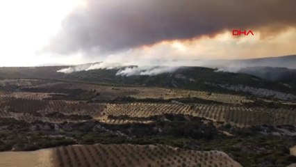 Çanakkale’deki orman yangınında zarar gören alanlar dron ile görüntülendi