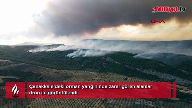 Gelibolu’daki yangının izleri havadan görüntülendi! Çanakkale ormanları küle döndü
