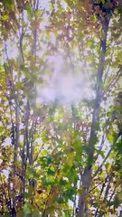 Together, Hearts In Sync