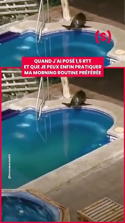 « Allez pousse-toi Michel, on la connaît la technique de la serviette de 7h du mat’ » __ #Otarie #V