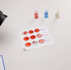 Inside the Procedure: Blood Type Testing