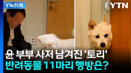 윤석열이 마지막까지 찾았던 '토리'...남은 반려동물 11마리 행방은? [Y녹취록] / YTN