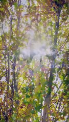 Together, Hearts In Sync