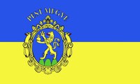 Flag of Pest County. Bendera Kabupaten Pest. Pest County Flag. Flag of County of Pest. County of Pest Flag. Pest megye zászlaja. Drapeau du comté de Pest. Bandeira do Condado de Pest. Bandera del condado de Pest. Bandiera della contea di Pest. ペシュト県の旗