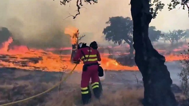Fallece un bombero en las labores de extinción de los incendios en Espinoso de Compludo (León)