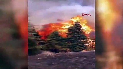 Tam 80 hektarlık ormanı kül eden yangının nedeni kahretti!