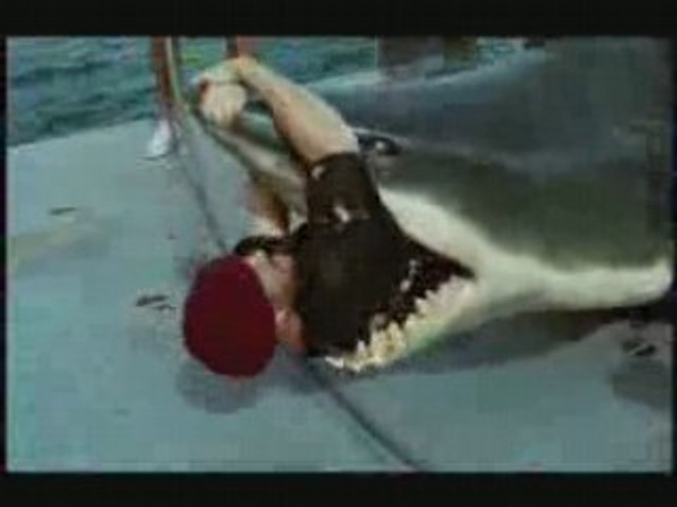 Fake Jackass dans un VRAI requin !!! Vidéo Dailymotion