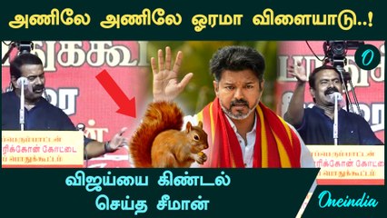 Seeman Speech on Vijay | TVK | அணிலே அணிலே ஓரமா விளையாடு..! - Vijay -யை கிண்டல்  செய்த Seeman