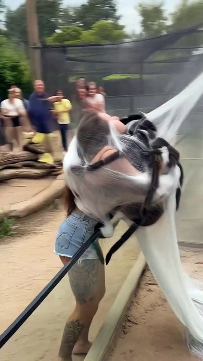 Girl Hugs a Magic Black Spider | Hilarious & Cute Moment!