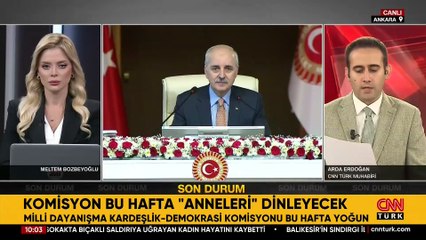 Milli Dayanışma, Kardeşlik ve Demokrasi Komisyonu bu hafta "anneleri" dinleyecek