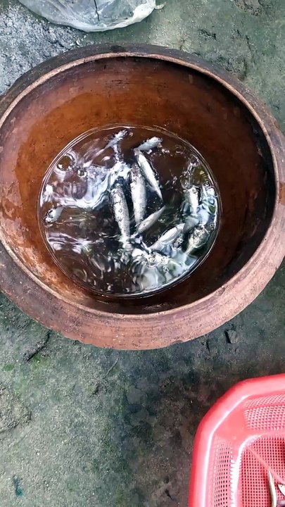 নদীর মাছের মজাই আলাদা 😱🥰
