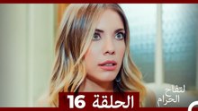 التفاح الحرام الحلقة ال 16 (Arabic Dubbed) HD