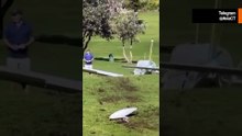 Video toont noodlanding van vliegtuig op Australische golfbaan