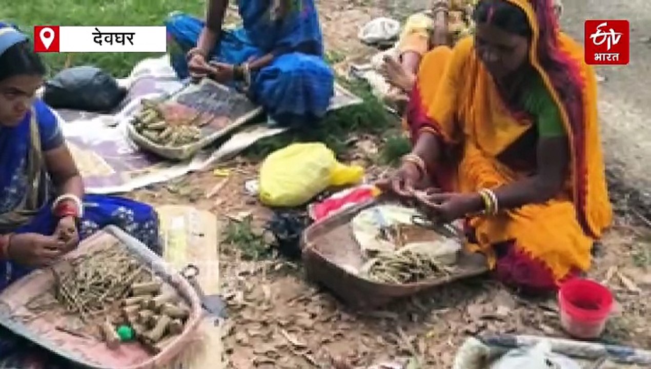 देवघर में महिला सशक्तिकरण में है कई अड़चन, कागजों में सिमटकर रहा गया आधी आबादी का विकास मॉडल, पढ़ें रिपोर्ट