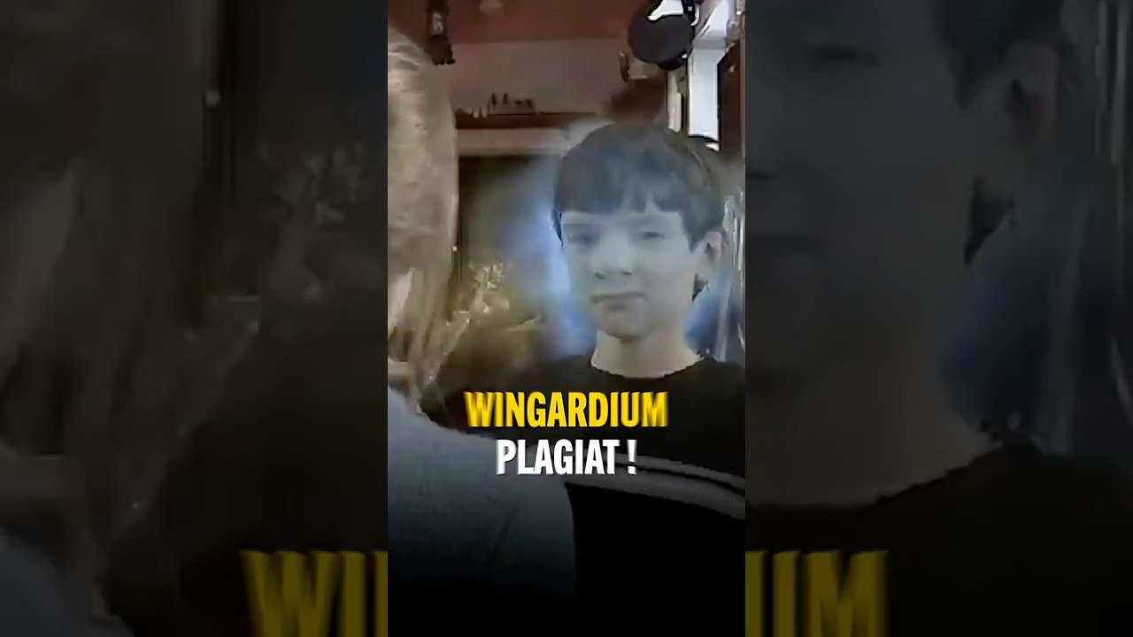 Le Harry Potter de Wish 😅 #harrypotter #plagiat #nanar