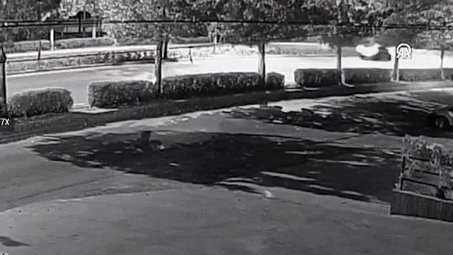 Ağaca çarpan otomobildeki 2 kişi öldü, sürücü ağır yaralandı