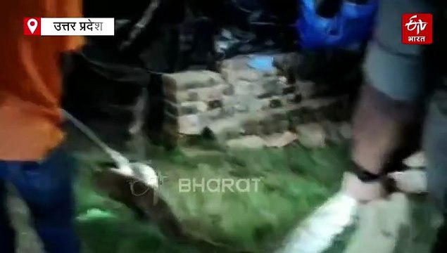 मिर्जापुर में मिला 15 फिट का अजगर; घर में घुसने की फिराक में था, ग्रामीणों के हाथ पांव फूले, रेस्क्यू के दौरान वनकर्मी घायल