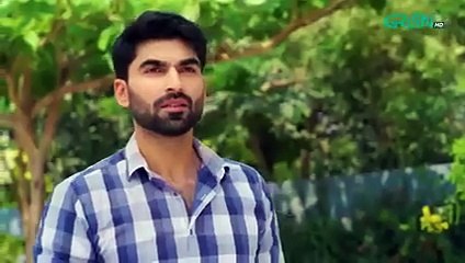 Do Kinaray Episode 04 (Subtitles) 5th May 2025 - Momina Iqbal - Junaid Khan - Hira Soomro  Green TV - Green TV Entertainment (240p, h264)