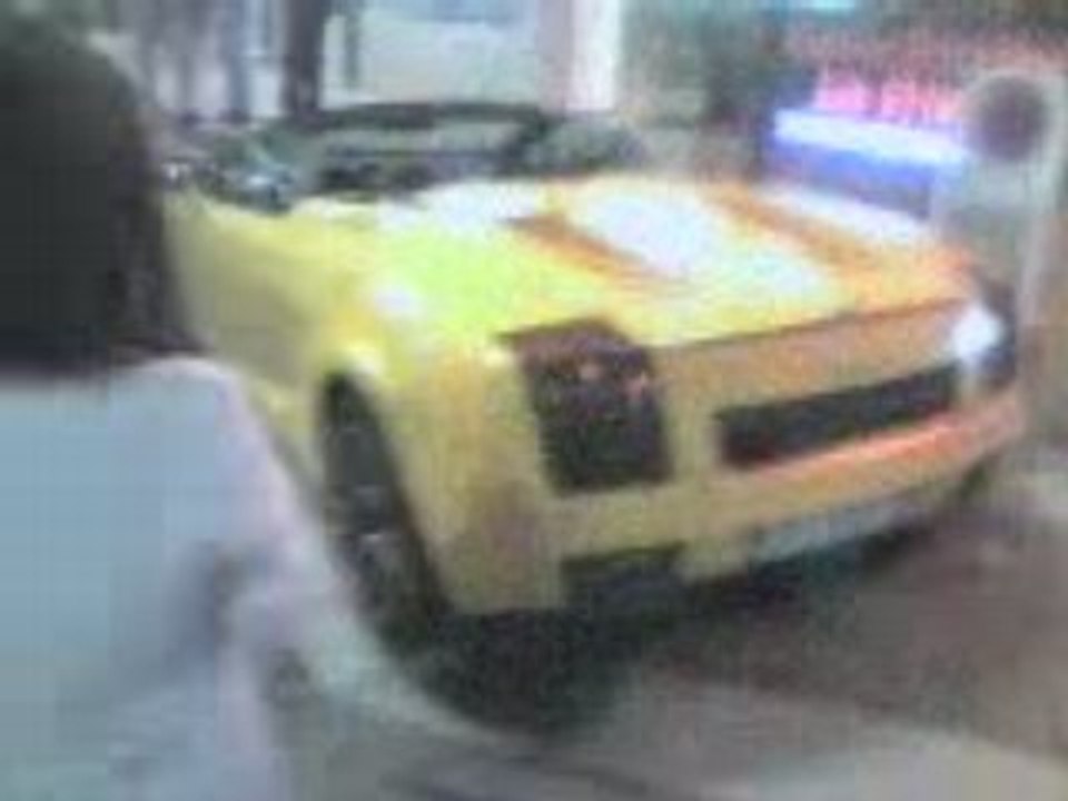 Festival Lamborghini