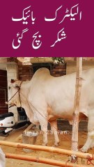 Shukar hy ELECTRIC BIKE bach gai😱