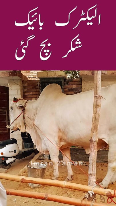 Shukar hy ELECTRIC BIKE bach gai😱