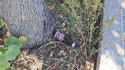 Annunziata, degrado a Piazza Umberto I