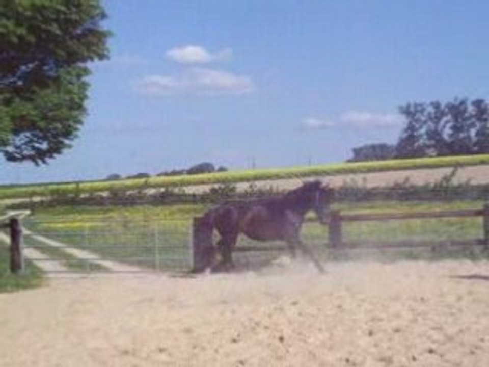 saut en liberté 12.05