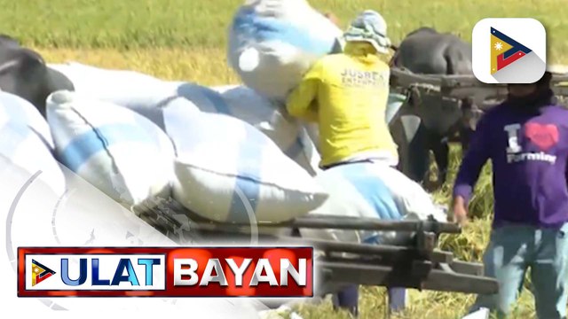 70-K kilo ng bigas, ibinenta sa mga magsasaka sa pilot testing ng “Benteng Bigas, Meron Na!” program | ulat ni Vel Custodio