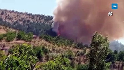 Çorum'da orman yangını; vatandaşların traktör ve iş makineleriyle destek verdiği söndürme çalışmaları devam ediyor