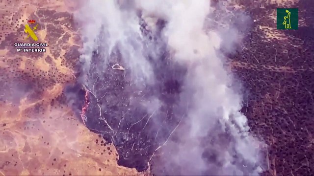 España y Portugal combaten sin tregua más de 20 grandes incendios que dejaron ya seis muertos