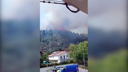 Massarosa, incendio sulle colline a Piano di Conca