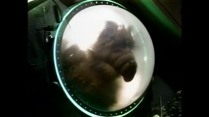 ALF Season 1 Episode 1 "Alf" #English