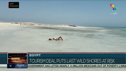 Egypt, tourism deal puts last wild shores at risk