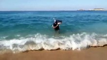 Un homme capture un requin à mains nues